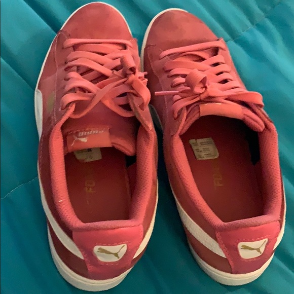 Pumas - Picture 4 of 4